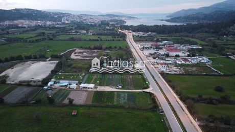 Αγροτεμάχια 12.000 τ.μ. για πώληση