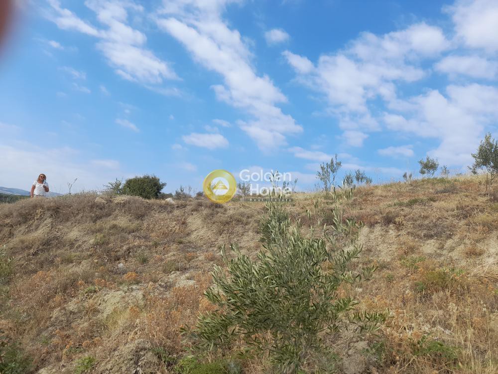 Αγροτεμάχια 9.800 τ.μ. προς πώληση, Πελλήνη