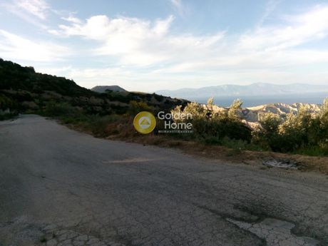 Αγροτεμάχια 9.800τ.μ. για πώληση-Ξυλόκαστρο » Πελλήνη