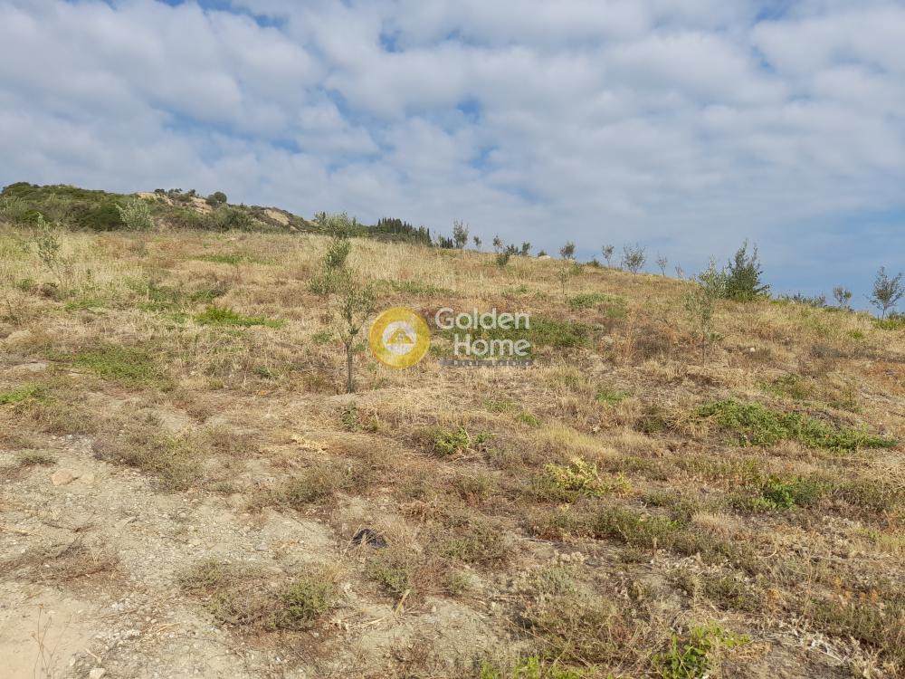 Αγροτεμάχια 9.800 τ.μ. προς πώληση, Πελλήνη