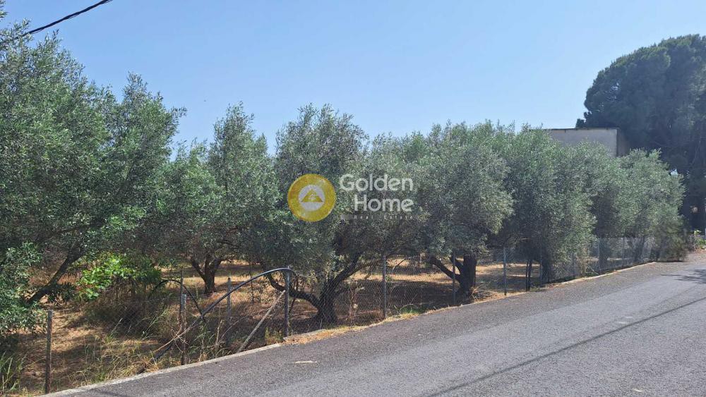 Οικόπεδο 1.046 τ.μ. πρός πώληση, Εύβοια, Ληλάντιο