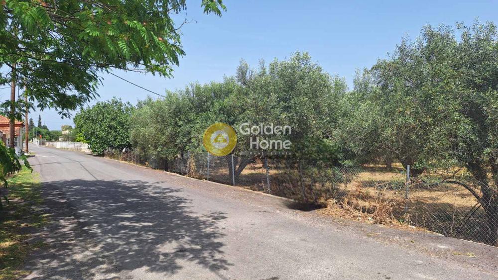 Οικόπεδο 1.046 τ.μ. πρός πώληση, Εύβοια, Ληλάντιο