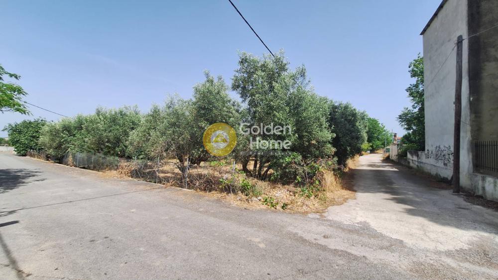Οικόπεδο 1.046 τ.μ. πρός πώληση, Εύβοια, Ληλάντιο