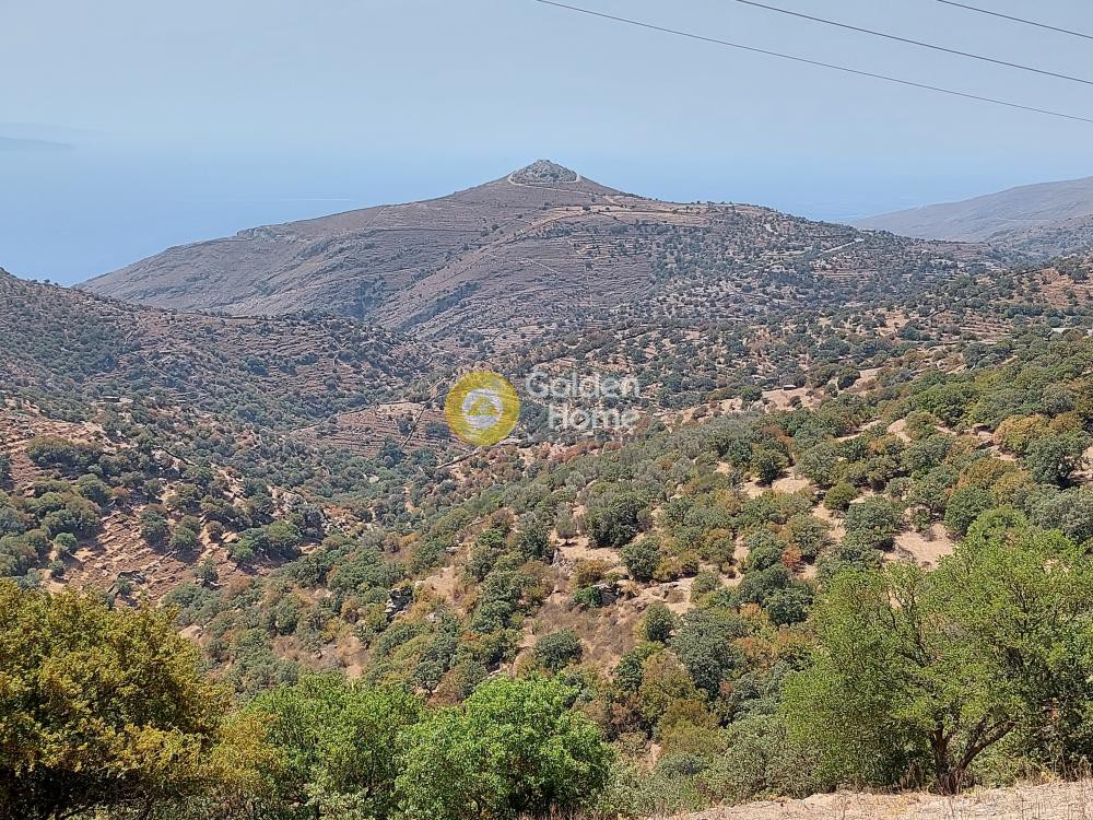 Αγροτεμάχια 1.250 τ.μ. προς πώληση, Γρικού