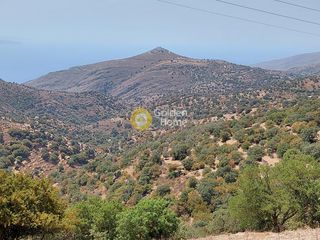 Αγροτεμάχια 1.250 τ.μ. για πώληση