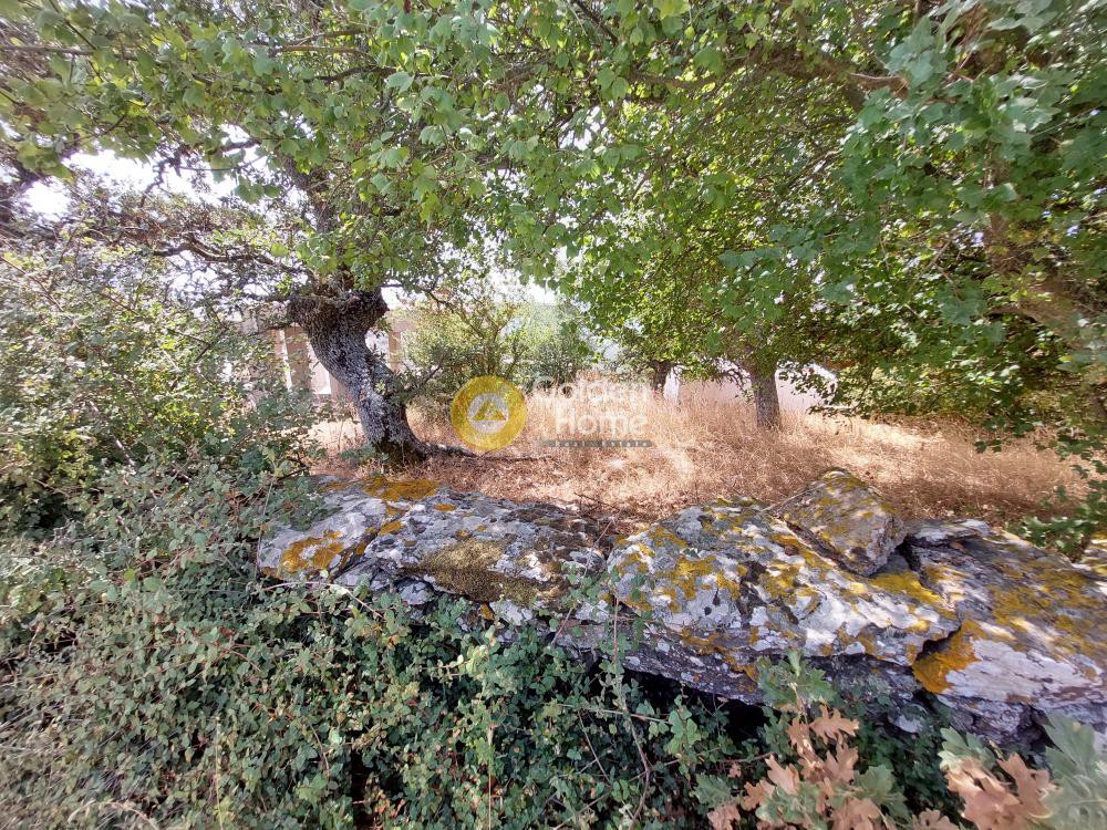 Αγροτεμάχια 1.250 τ.μ. προς πώληση, Γρικού