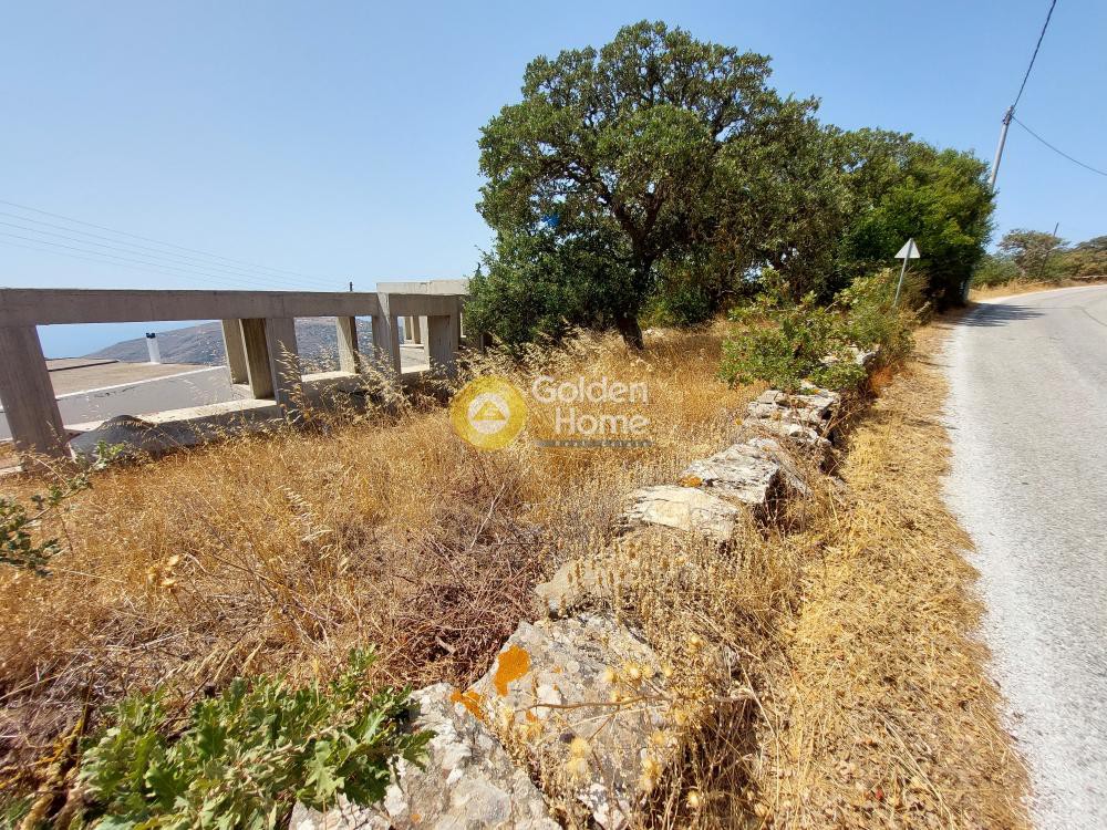 Αγροτεμάχια 1.250 τ.μ. προς πώληση, Γρικού