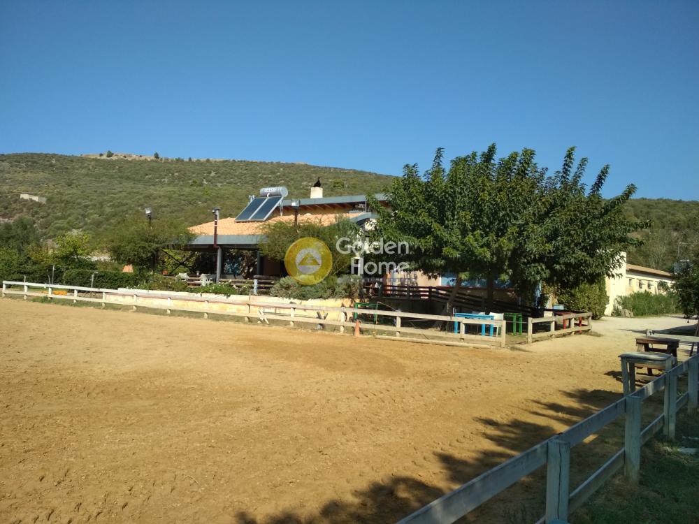 Κτίριο 830 τ.μ. προς ενοικίαση, Κέντρο Νέας Μάκρης