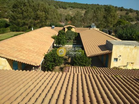 Building 830sqm for rent-Nea Makri » Center
