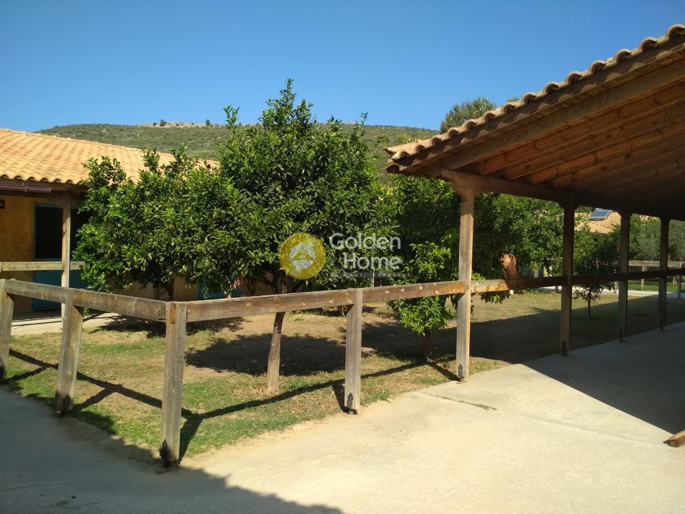 Κτίριο 830 τ.μ. προς ενοικίαση, Κέντρο Νέας Μάκρης