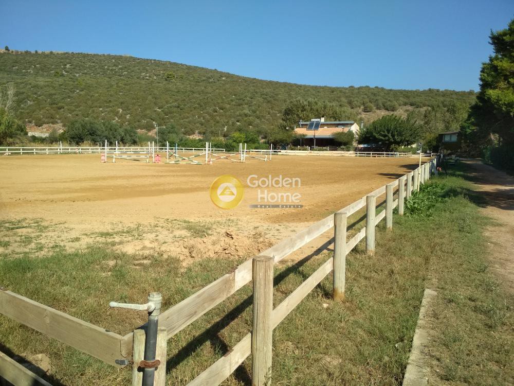 Κτίριο 830 τ.μ. προς ενοικίαση, Κέντρο Νέας Μάκρης