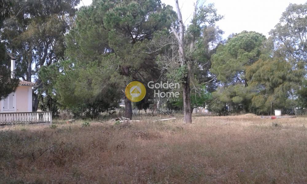 Οικόπεδο 16.000 τ.μ. πρός πώληση, Ζάκυνθος, Λαγανάς