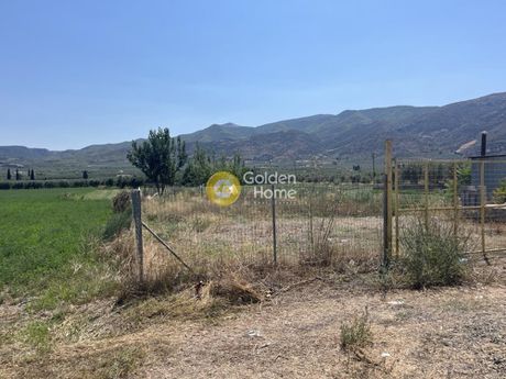 Αγροτεμάχια 1.000τ.μ. για πώληση-Αταλάντη » Μεγαπλάτανος