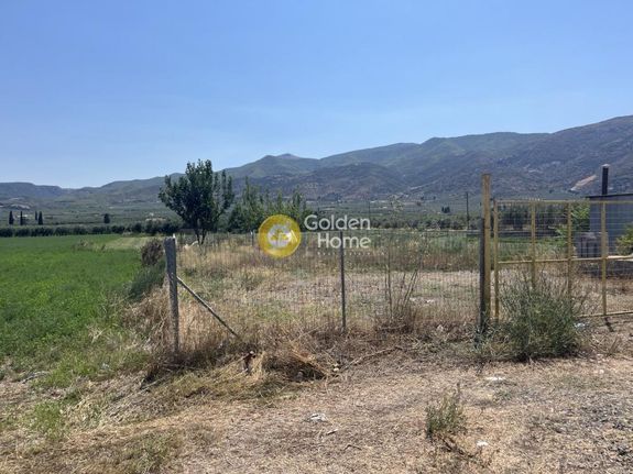 Αγροτεμάχια 1.000 τ.μ. για πώληση, Φθιώτιδας, Αταλάντη