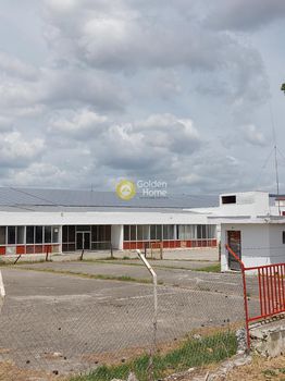 Industrial space 15.000sqm for rent-Livadeia » Stathmos