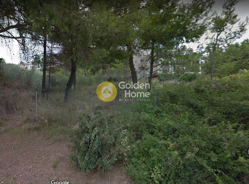 Οικόπεδο 2.020 τ.μ. πρός πώληση, Αθήνα - Βόρεια Προάστια, Άγιος Στέφανος