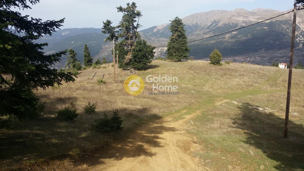 Αγροτεμάχια 13.708 τ.μ. προς πώληση, Ποταμιά Ευρυτανίας