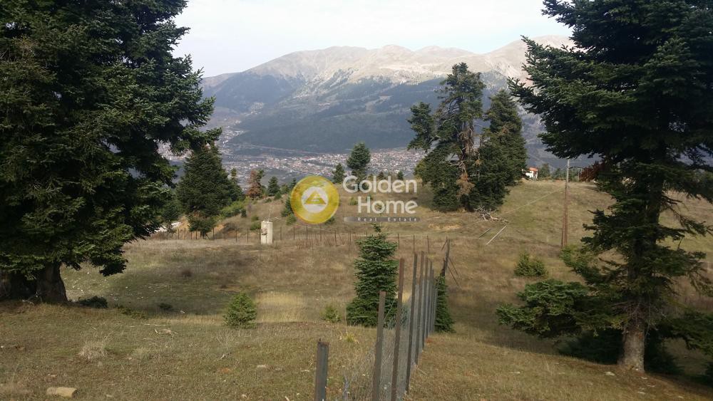 Αγροτεμάχια 13.708 τ.μ. προς πώληση, Ποταμιά Ευρυτανίας