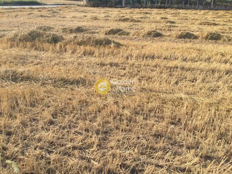 Parcel 7.020sqm for sale-Thermaikos » Agia Triada