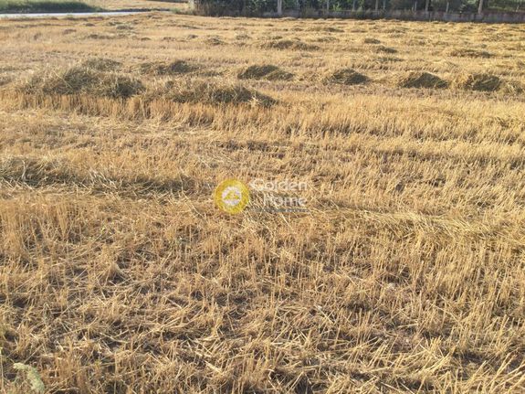 Αγροτεμάχια 7.020 τ.μ. για πώληση, Θεσσαλονίκη - Περιφ/Κοί Δήμοι, Θερμαϊκός