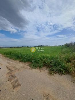 Parcel 7.300sqm for sale-Schimatari » Center
