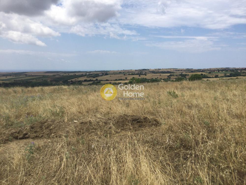 Αγροτεμάχια 5.000 τ.μ. προς πώληση, Τρίλοφο Θέρμης