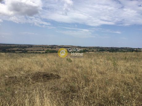 Αγροτεμάχια 5.000τ.μ. για πώληση-Θέρμη » Τρίλοφο
