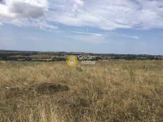 Αγροτεμάχια 5.000 τ.μ. για πώληση