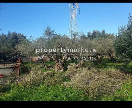 Parcel 3.000 sqm for sale