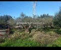 Parcel 3.000sqm for sale-Ierapetra » Vainia