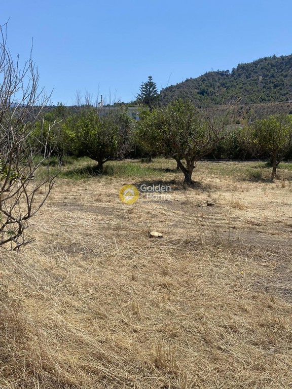 Οικόπεδο 4.400 τ.μ. προς πώληση, Αχαΐα, Ακράτα