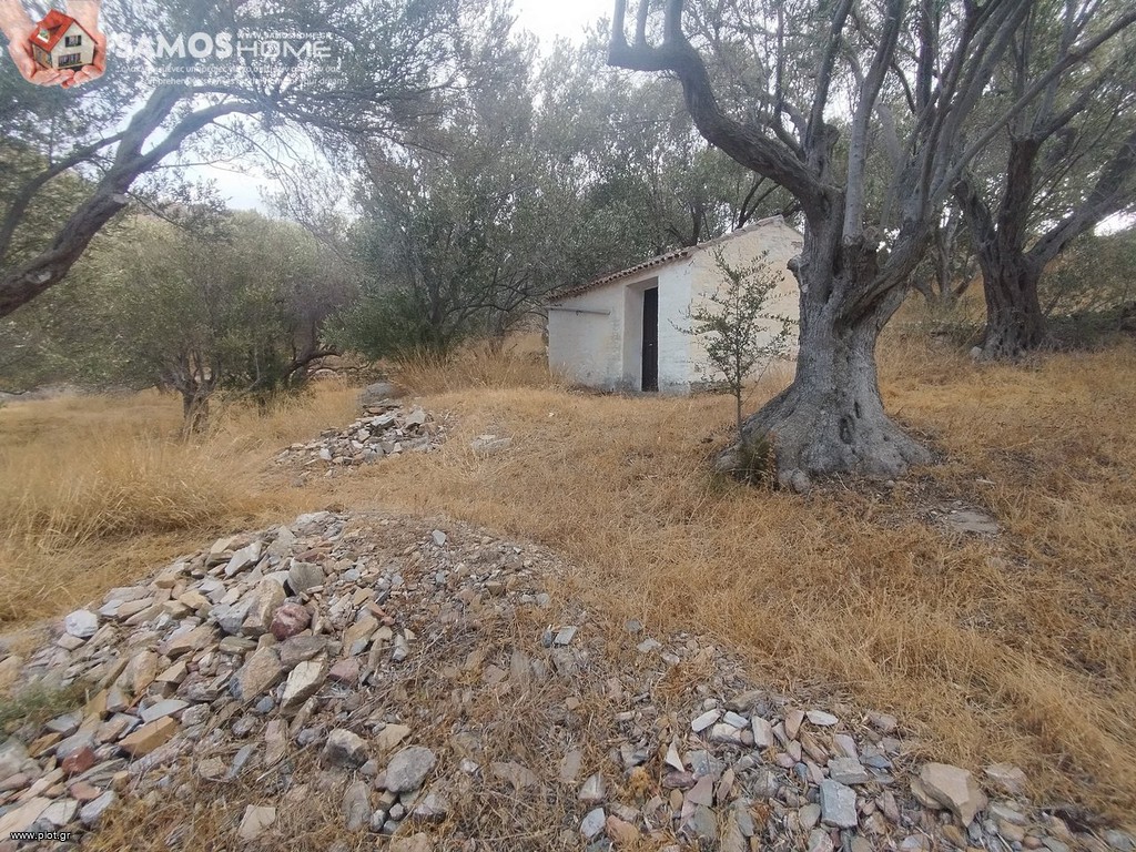 Αγροτεμάχια 31.307 τ.μ. για πώληση, Ν. Σάμου, Σάμος