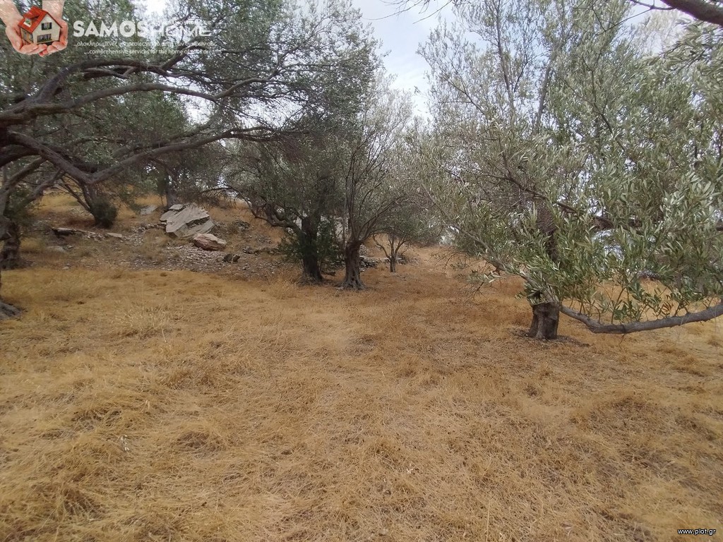 Αγροτεμάχια 31.307 τ.μ. προς πώληση, Σάμος