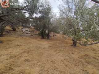 Αγροτεμάχια 31.307 τ.μ. για πώληση, Ν. Σάμου, Σάμος-thumb-1