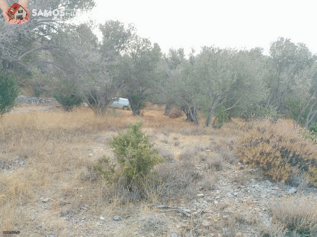 Αγροτεμάχια 31.307 τ.μ. προς πώληση, Σάμος
