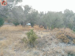 Αγροτεμάχια 31.307 τ.μ. για πώληση, Ν. Σάμου, Σάμος-thumb-2