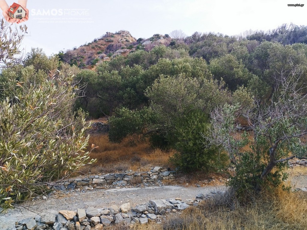Αγροτεμάχια 31.307 τ.μ. προς πώληση, Σάμος