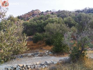 Αγροτεμάχια 31.307 τ.μ. για πώληση, Ν. Σάμου, Σάμος-thumb-3