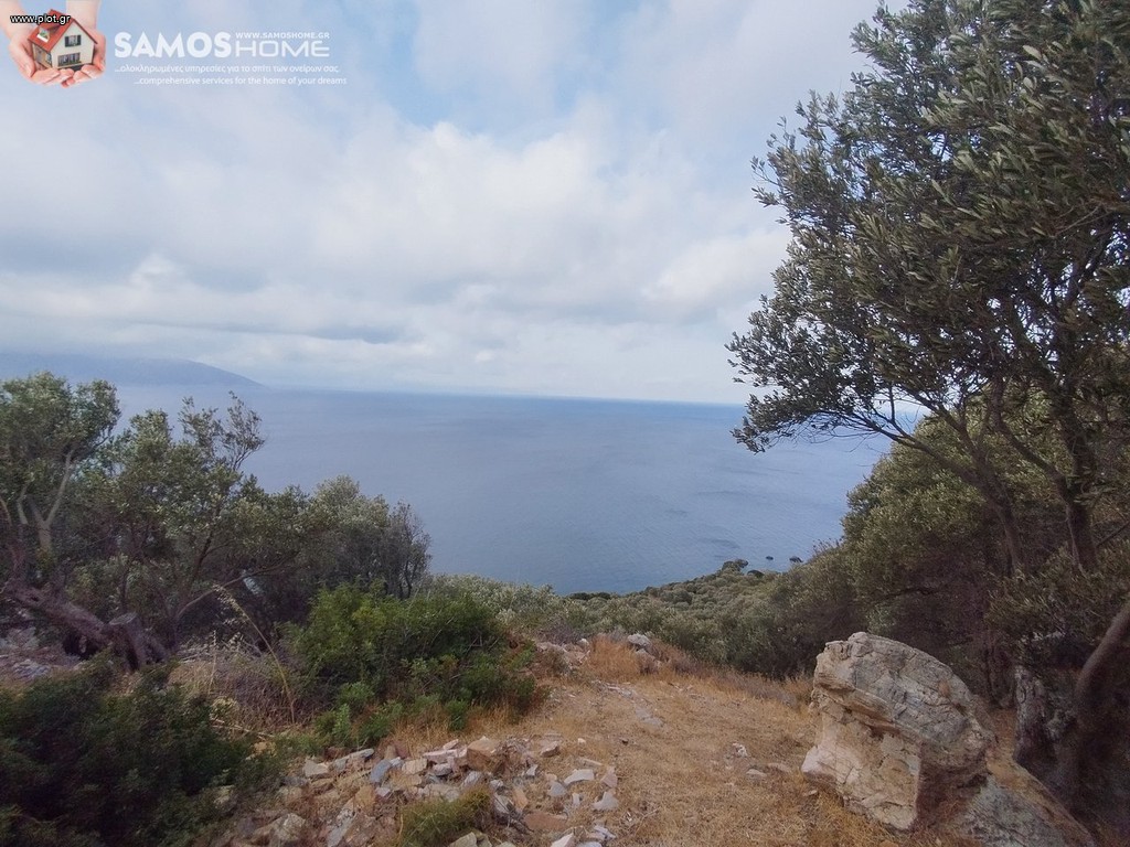 Αγροτεμάχια 31.307 τ.μ. προς πώληση, Σάμος