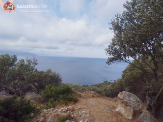 Αγροτεμάχια 31.307 τ.μ. για πώληση, Ν. Σάμου, Σάμος-thumb-4