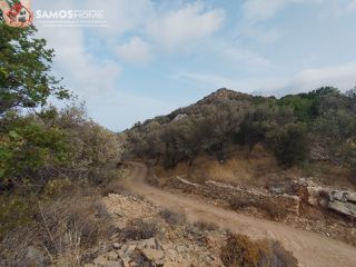 Αγροτεμάχια 31.307 τ.μ. για πώληση, Ν. Σάμου, Σάμος-thumb-5