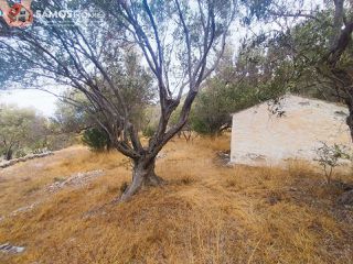 Αγροτεμάχια 31.307 τ.μ. για πώληση, Ν. Σάμου, Σάμος-thumb-6