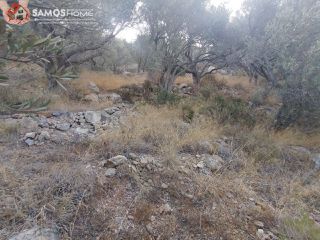Αγροτεμάχια 31.307 τ.μ. για πώληση, Ν. Σάμου, Σάμος-thumb-7