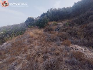 Αγροτεμάχια 31.307 τ.μ. για πώληση, Ν. Σάμου, Σάμος-thumb-8