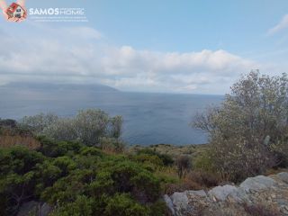Αγροτεμάχια 31.307 τ.μ. για πώληση, Ν. Σάμου, Σάμος-thumb-10