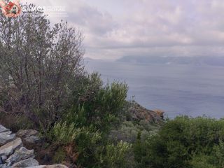 Αγροτεμάχια 31.307 τ.μ. για πώληση, Ν. Σάμου, Σάμος-thumb-11