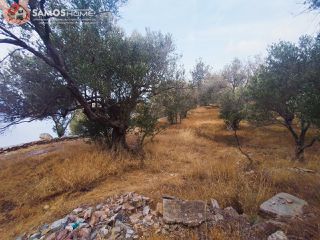 Αγροτεμάχια 31.307 τ.μ. για πώληση, Ν. Σάμου, Σάμος-thumb-12