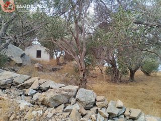 Αγροτεμάχια 31.307 τ.μ. για πώληση, Ν. Σάμου, Σάμος-thumb-15