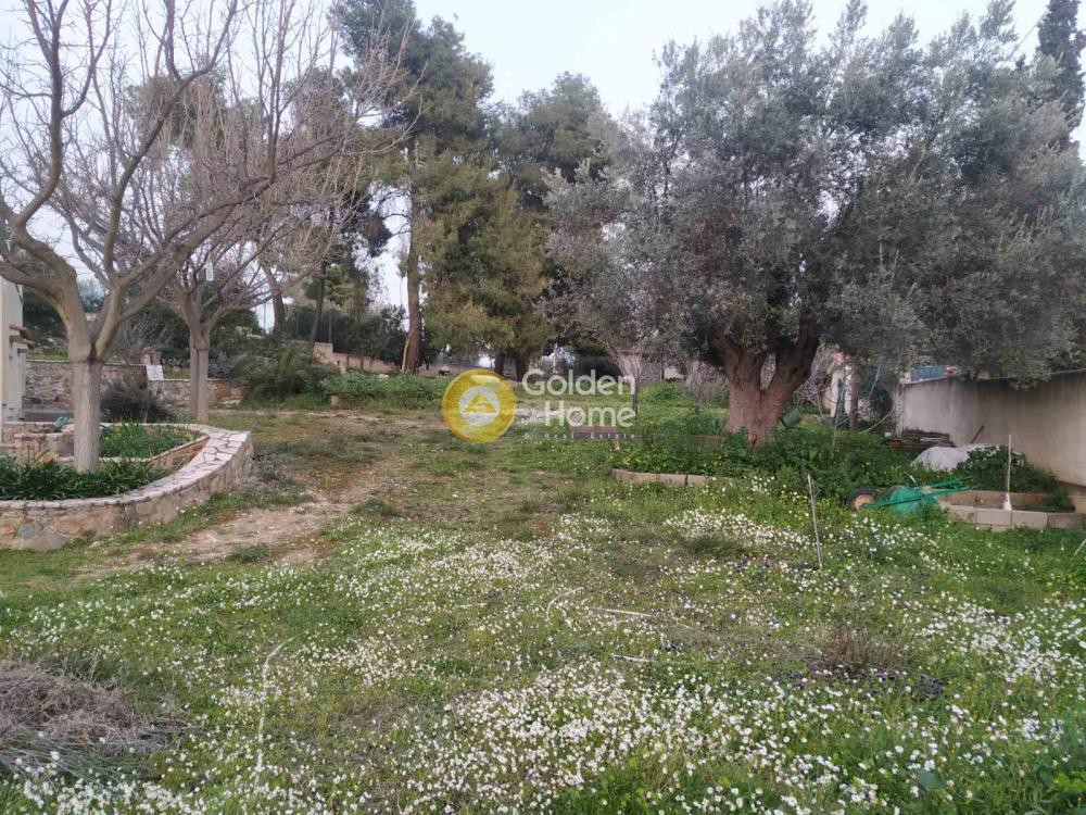 Μονοκατοικία 265 τ.μ. προς πώληση, Μαλακώντα