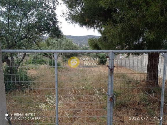Land plot 1.248 sqm for sale, Athens - East, Koropi